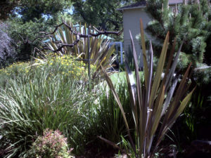 Ross, Ca. Arbor, brick,planting