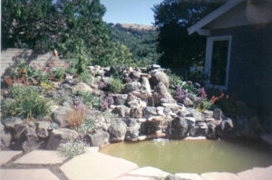 San Anselmo, Flagstone, pond, drainage